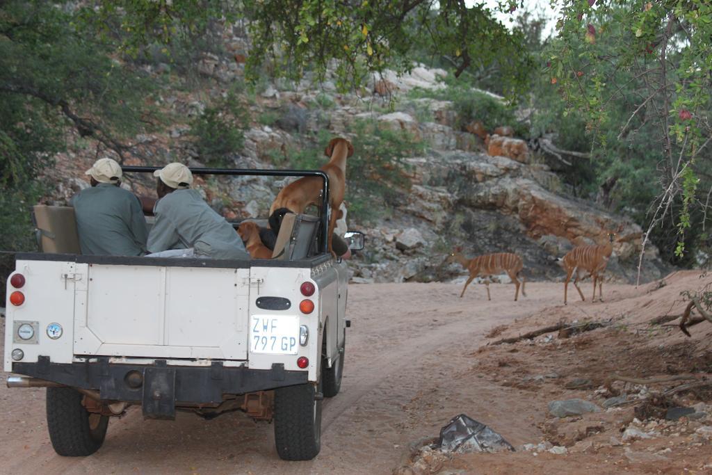 Adansonia Eco Lodge Мусина Экстерьер фото